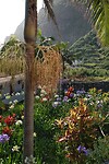 DSC01858-01