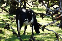 DSC01877-01