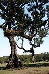 DSC01878-01