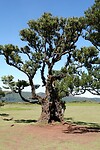 DSC01880-01