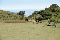 DSC01888-01