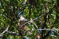 DSC01896-01