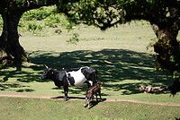 DSC01907-01