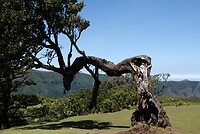 DSC01910-01