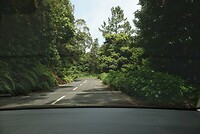 DSC01919-01