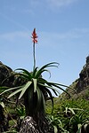 DSC01936-01