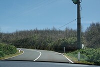 DSC01942-01