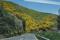 DSC01946-01