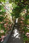 DSC01974-01
