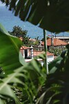 DSC01992-01
