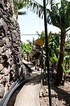 DSC01994-01
