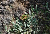 DSC01997-01