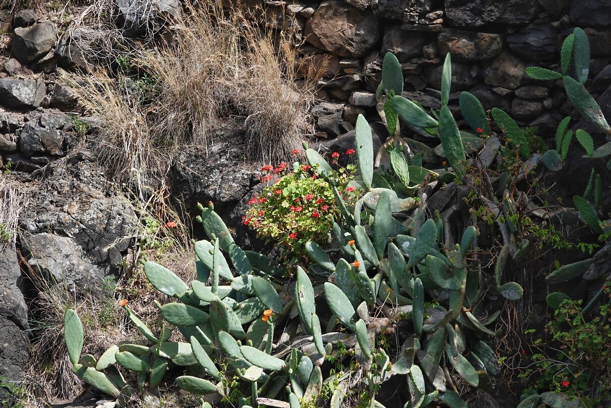 DSC01997-01