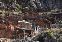 DSC02007-01