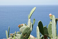 DSC02035-01