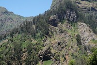 DSC02108-01