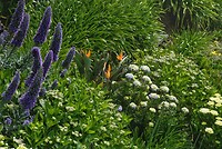 DSC02082-01