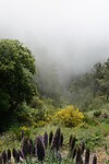 DSC02081-01