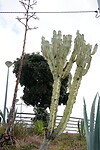 DSC02142