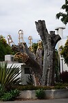 DSC02335-02