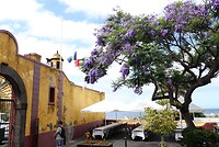 DSC02323-01