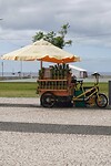 DSC02317-01