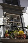 DSC02348-01