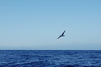 DSC03361-01