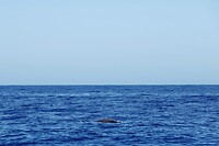 DSC03905-01