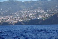 DSC02652-01