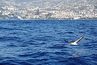DSC02576-01