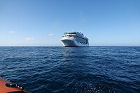 DSC02378-01