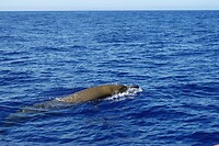 DSC04386-01