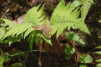 DSC04726-01