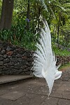 DSC04718-01