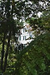DSC04698-01