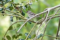 DSC04691-01