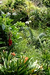 DSC04681-01