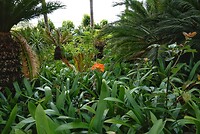 DSC04680-01