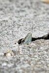 DSC04672-01