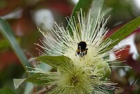 DSC04665-01