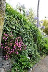 DSC04651-01