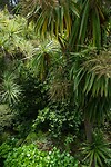 DSC04646-01