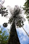 DSC04634-01