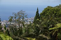 DSC04636-01