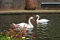 DSC04631-01