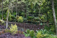 DSC04621-01