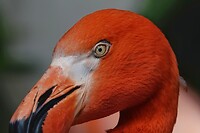 DSC04601-01