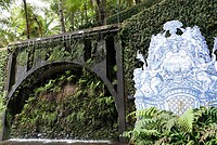 DSC04602-01