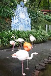 DSC04607-01